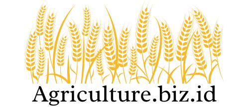 Agriculture.biz.id