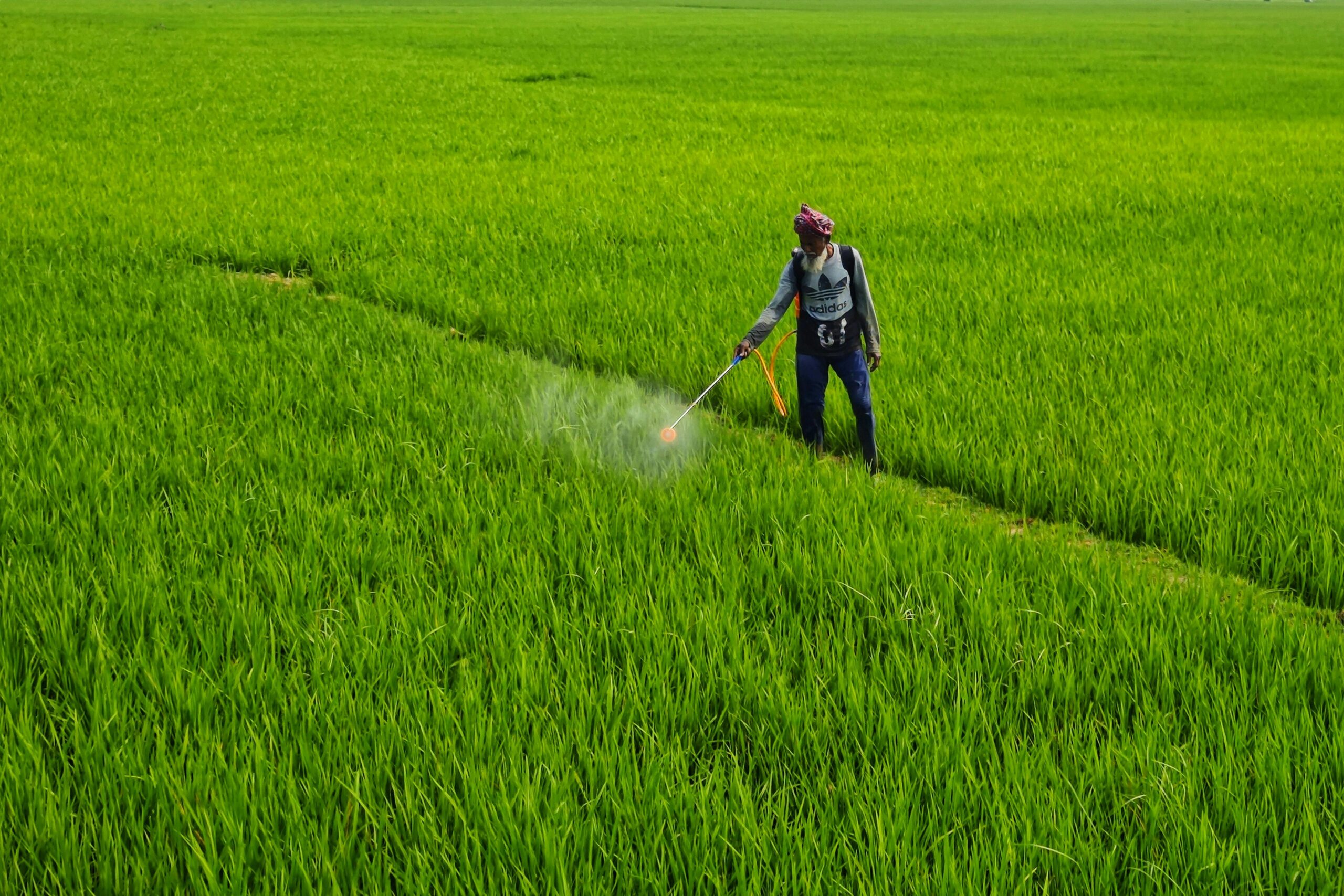 Photo by Dibakar Roy: https://www.pexels.com/photo/man-working-on-a-field-20841294/