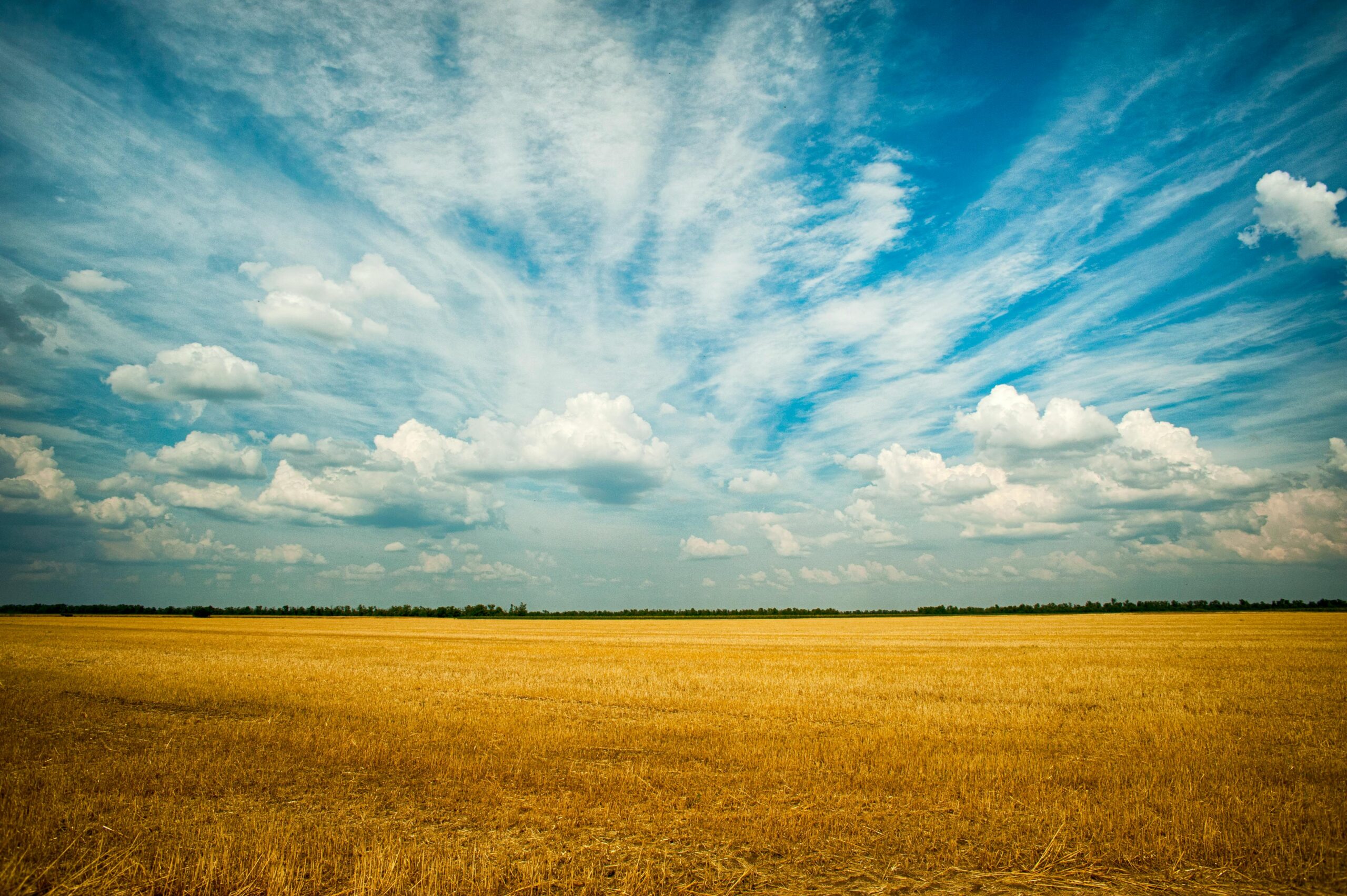 Photo by Oleksandr P: https://www.pexels.com/photo/photo-of-grass-field-1227513/