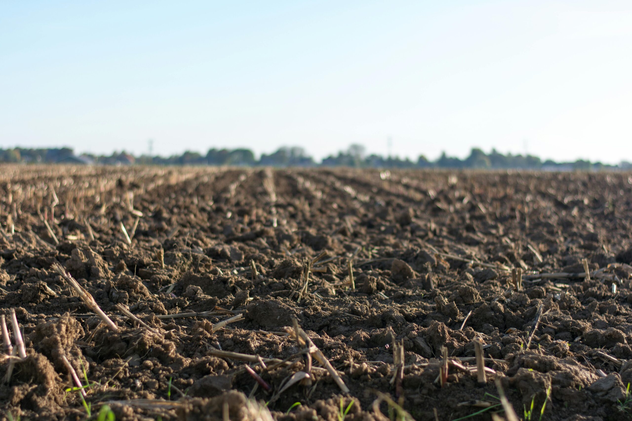 Photo by Jan Kroon: https://www.pexels.com/photo/eye-level-photo-of-cultivated-land-1000057/