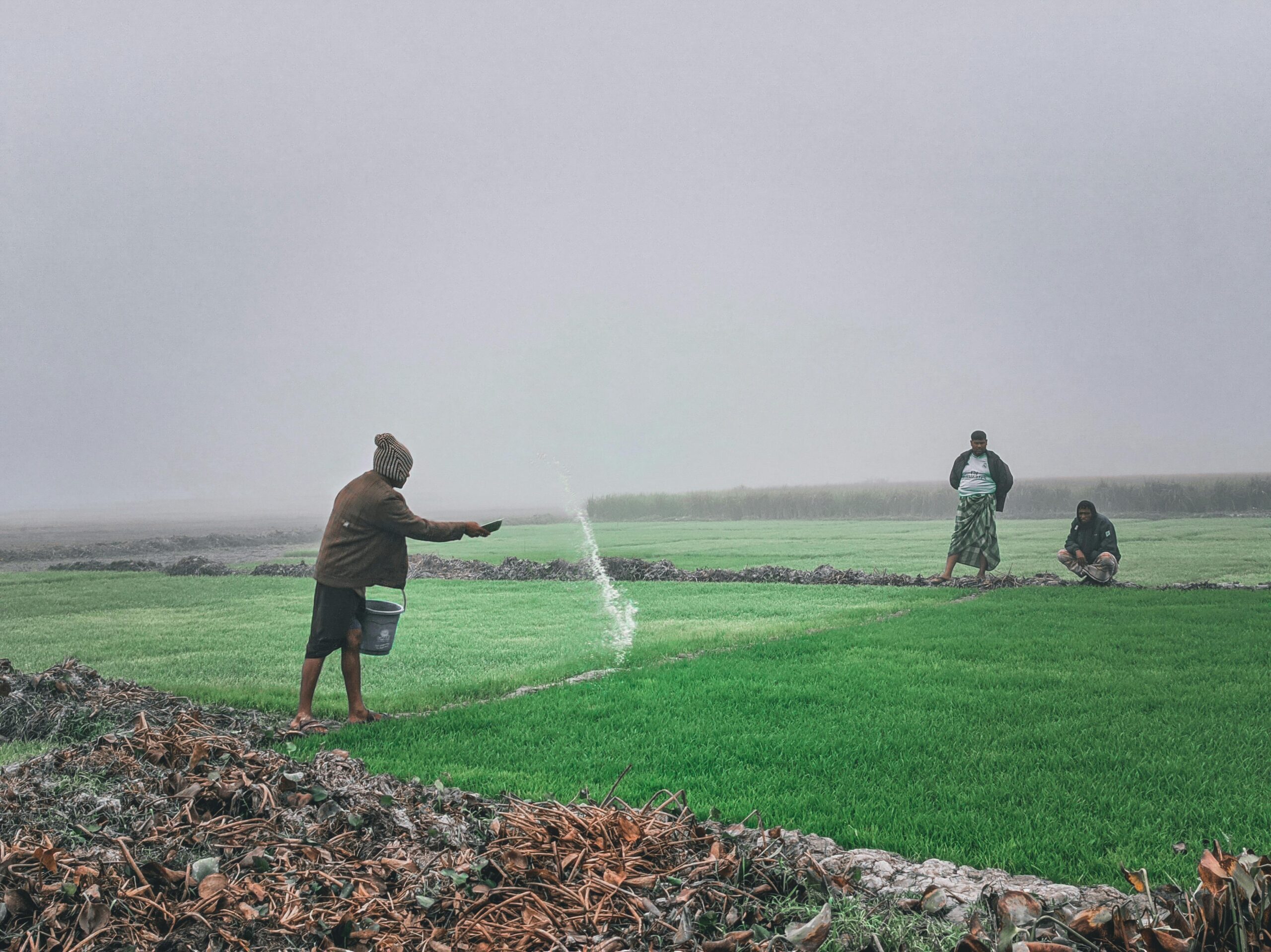Photo by Nirjon Nakib: https://www.pexels.com/photo/young-man-with-a-bucket-spreading-fertilizer-on-a-crop-field-18185333/