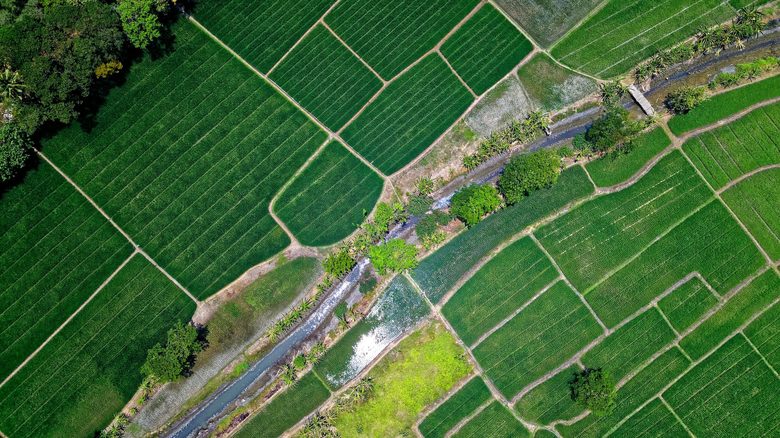 Photo by Tom Fisk: https://www.pexels.com/photo/bird-s-eye-view-of-river-in-middle-of-green-fields-1483880/